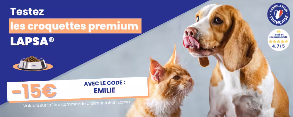 Dog Chef : Mon avis sur leur nourriture avec test pour mon chien 8 banierre offre lapsa lab