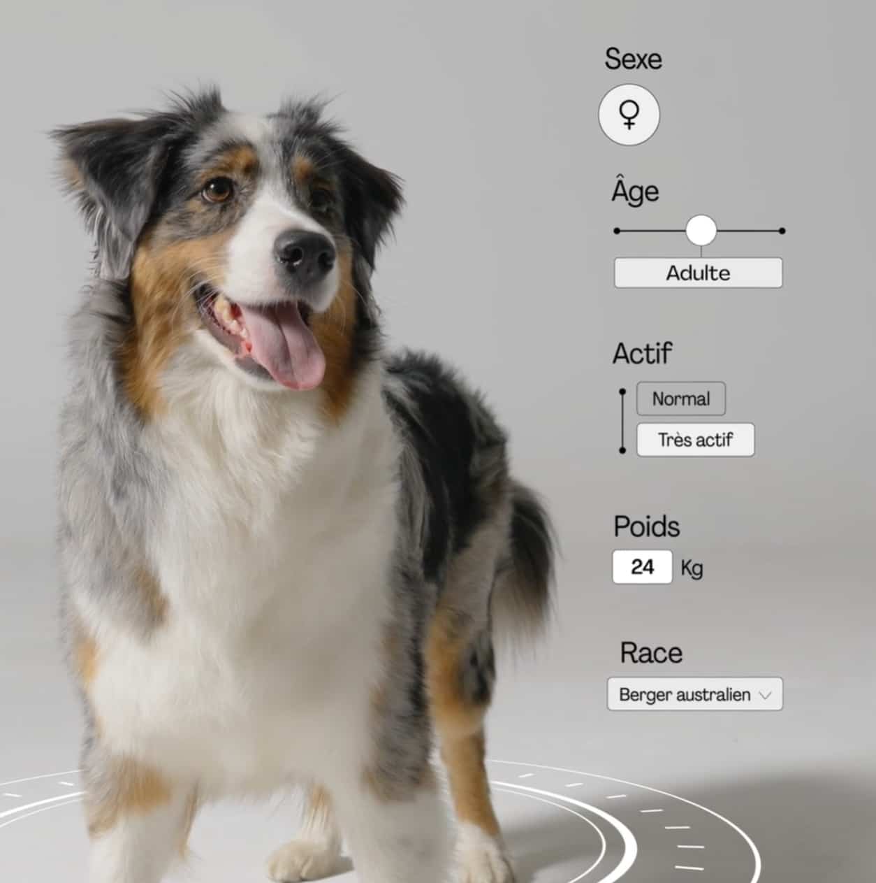 Dogfy Diet Avis : J'ai testé leur abonnement pour mon chien Retour d'expérience complet 3 analyse chien dogfy diet