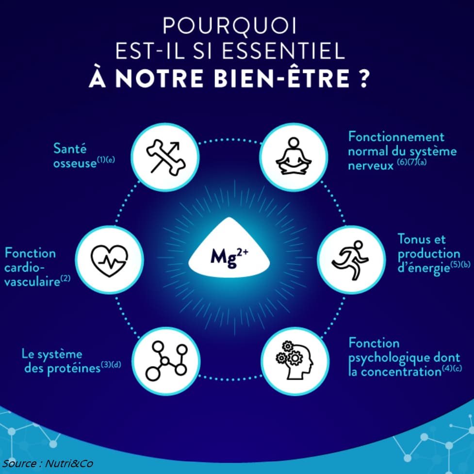 Le glossaire de la Nutrition : Le magnésium - Etudes, carence et recommandations 2 bienfaits magnesium