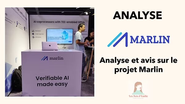imgi 4 miniature article analyse avis protocole marlin