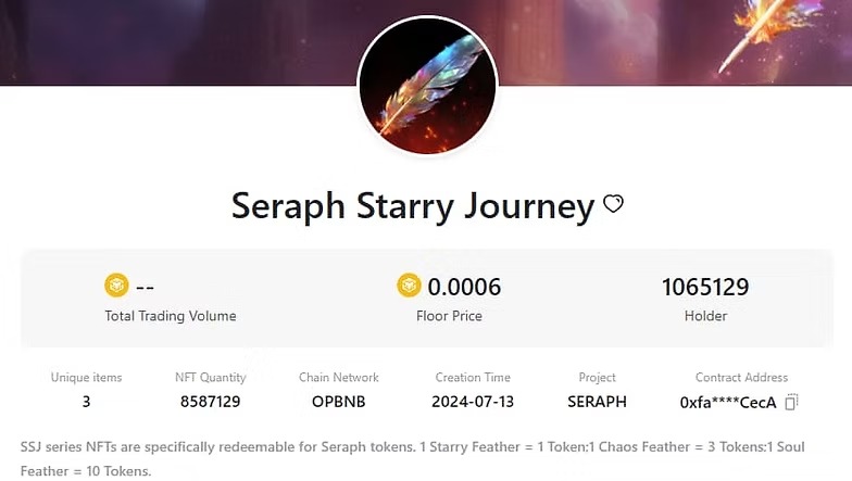 Seraph In The Darkness : Notre analyse et avis sur ce P2E ARPG prometteur 5 imgi 8 collection nft seraph