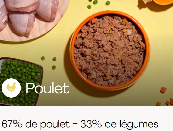 Dogfy Diet Avis : J'ai testé leur abonnement pour mon chien Retour d'expérience complet 5 menu poulet presentation