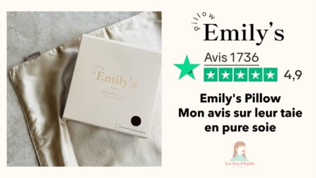 miniature article avis emily pillow