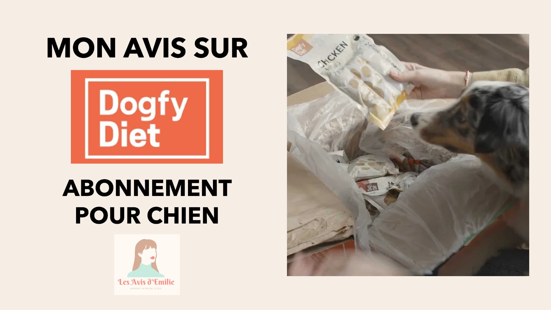 Dogfy Diet Avis : J'ai testé leur abonnement pour mon chien Retour d'expérience complet 9 mon avis sur dogfy diet miniature 1