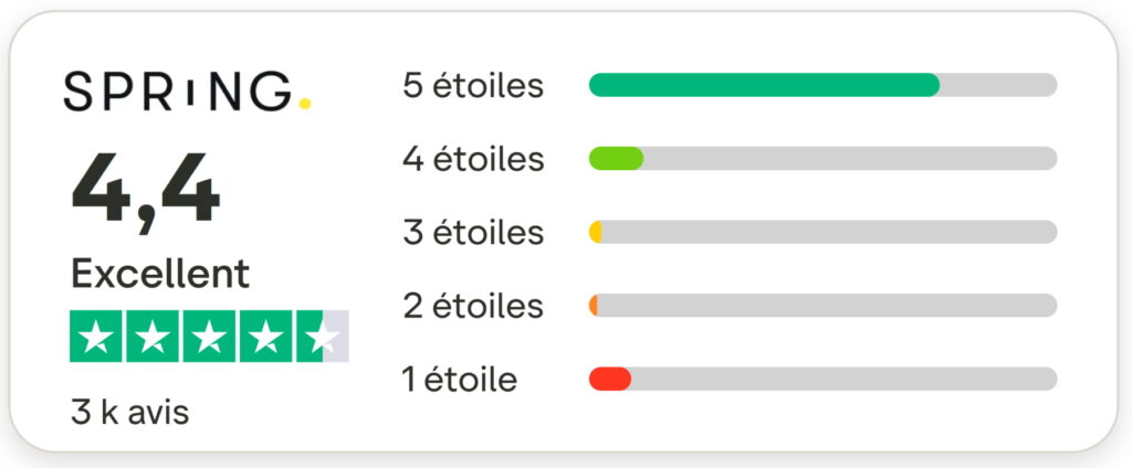 Spring VS Les Petits Bidons : quelle lessive écologique choisir ? 8 note trustpilot spring 1
