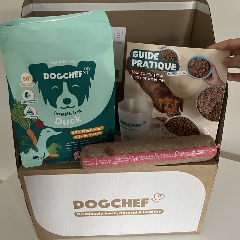 Dog Chef : Mon avis sur leur nourriture avec test pour mon chien 1 premiere box dog chef 1