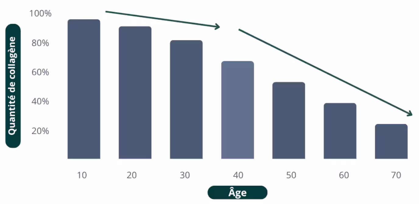 Mon avis sur Humble+ : Test et analyse complète de leur collagène marin 1 schema simplifie baisse collagene