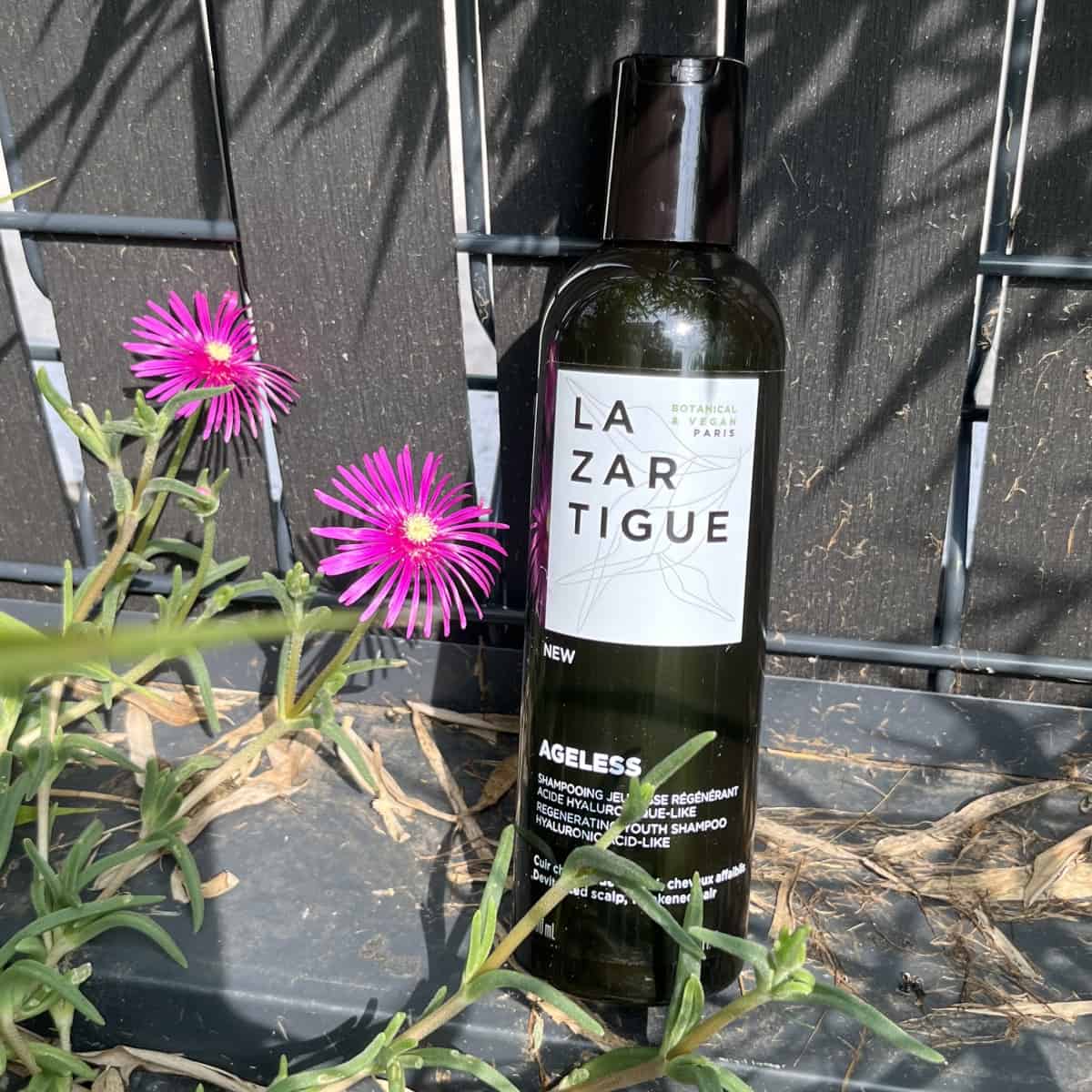 J'ai testé Lazartigue : Mon avis avec analyse complète des soins 15 shampoing lazartigue ambiance 1