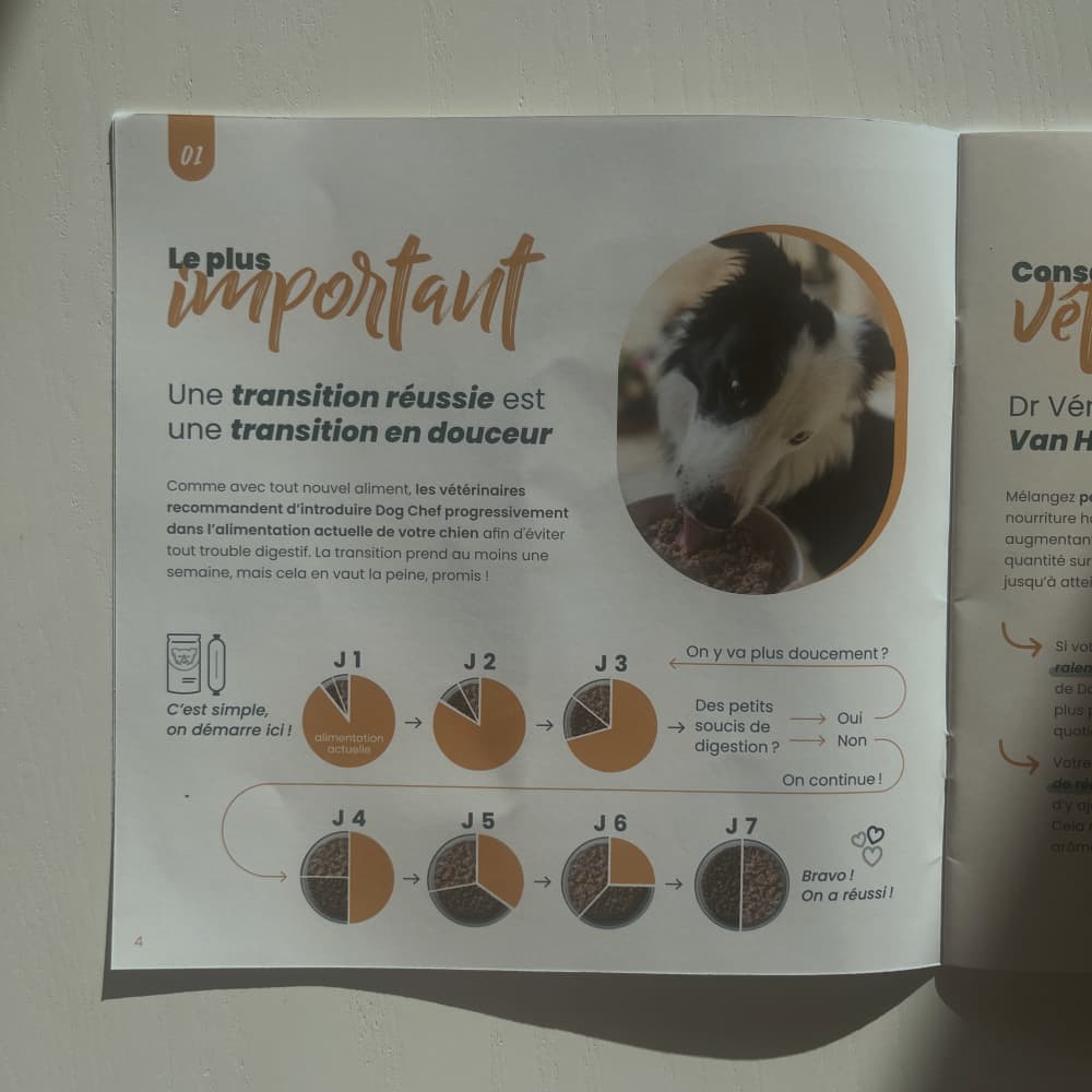 Dog Chef : Mon avis sur leur nourriture avec test pour mon chien 6 transition explication dog chef 1