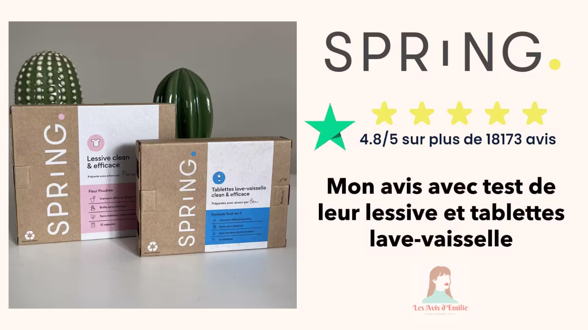 Mon avis sur les produits d'entretien Spring : nettoyant salle de bain, multi-surfaces... 1 avis spring lessive