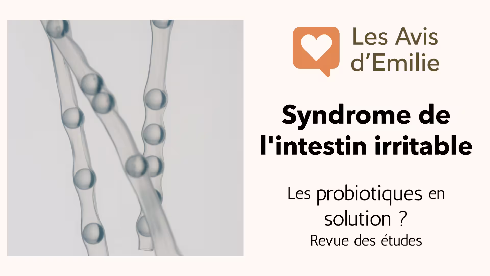 Classement des meilleurs probiotiques pour la digestion : comparatif complet 18 miniature article syndrome intestin irritable probiotiques lesavisdemilie