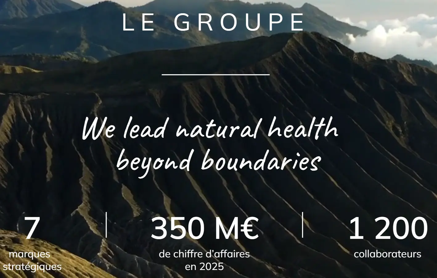 Impulse Nutrition : Mon avis honnête après avoir testé la marque 1 impulse nutrition marque groupe havea